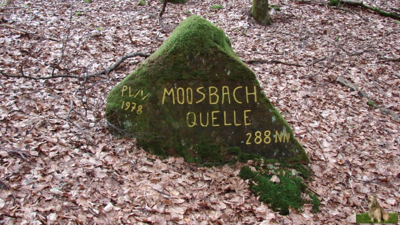 Ritterstein Nr. 205-2b Moosbach Quelle - PWV 1978 - 288 NN.JPG - Ritterstein Nr.205 Moosbach Quelle - PWV 1978 - 288 NN